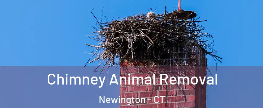  Chimney Animal Removal Newington - CT